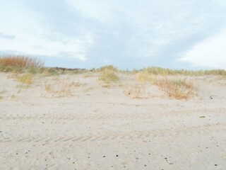 Vakantieappartement Nieblum Omgeving 32