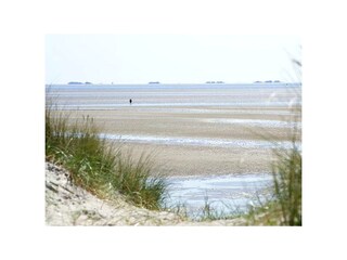Appartement de vacances Nieblum Environnement 17