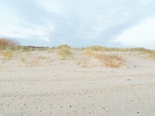 Vakantieappartement Nieblum Omgeving 24