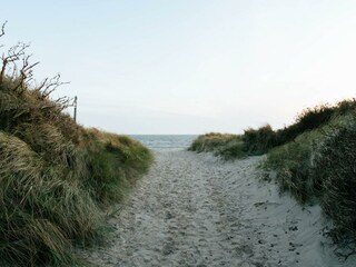 Vakantieappartement Nieblum Omgeving 25