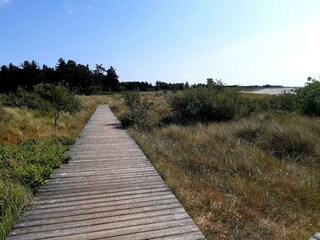 Vakantieappartement Nieblum Omgeving 27