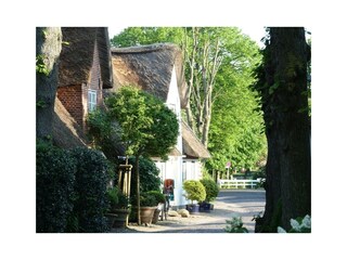 Vakantieappartement Nieblum Omgeving 28