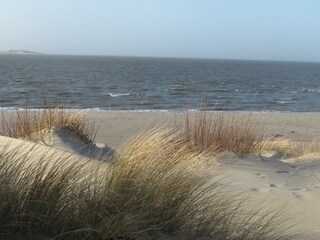 Appartement de vacances Nieblum Environnement 30