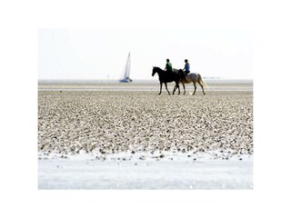 Apartamento de vacaciones Nieblum Entorno 24