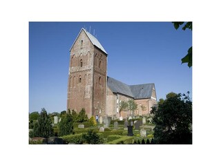 Vakantieappartement Nieblum Omgeving 25