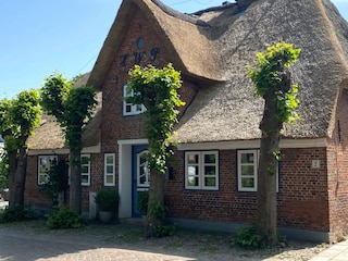 Vakantieappartement Nieblum Buitenaudio-opname 2