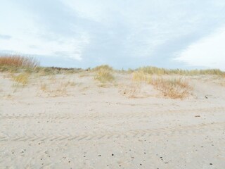 Vakantieappartement Nieblum Omgeving 28