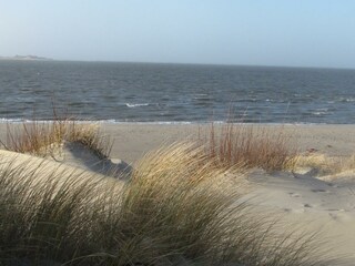 Vakantieappartement Nieblum Omgeving 31