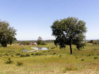 Vakantiehuis Egmond aan den Hoef Omgeving 17