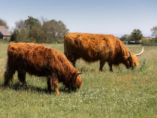 Casa per le vacanze Egmond aan den Hoef Ambiente 18