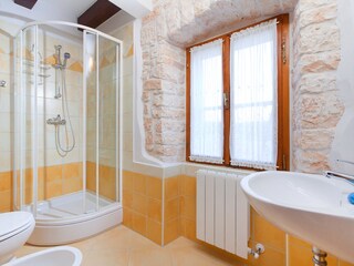 Villa Svetvinčenat Caratteristiche 36