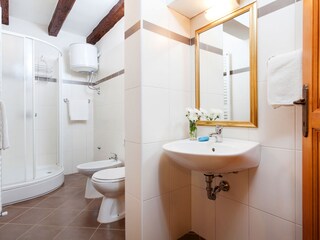 Villa Svetvinčenat Caratteristiche 26