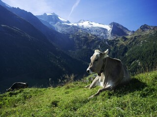 Chalet Aschau im Zillertal Omgeving 29