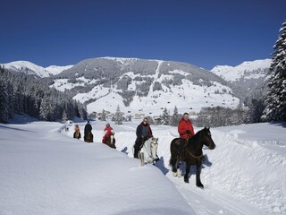 Chalet Aschau im Zillertal Environment 26