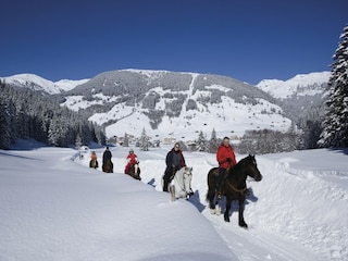 Chalet Aschau im Zillertal Umgebung 26