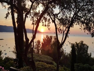 Casa per le vacanze Cap Bénat Ambiente 31