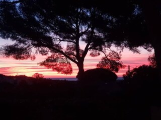 Casa per le vacanze Cap Bénat Ambiente 37