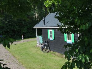 Vakantiepark Chalet met vaatwasser, in natuurlijke omgeving - IJhorst - image1