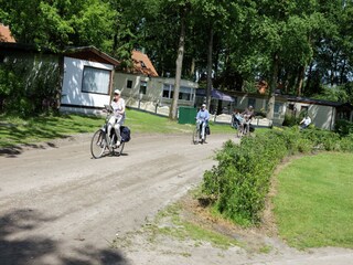 Vakantiepark IJhorst Omgeving 23