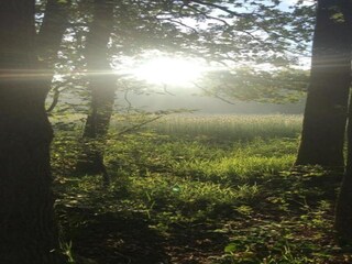 Parc de vacances IJhorst Environnement 25
