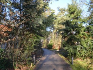 Vakantiepark IJhorst Omgeving 17