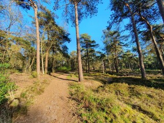 Vakantiepark IJhorst Omgeving 15