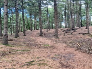 Parc de vacances IJhorst Environnement 28