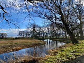 Parc de vacances IJhorst Environnement 18