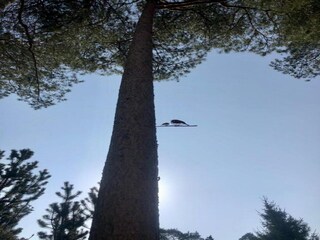 Parc de vacances IJhorst Environnement 19