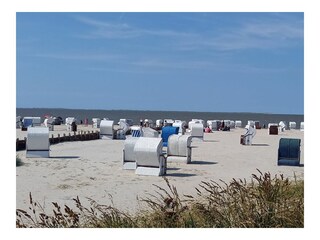 Appartamento per vacanze Carolinensiel Registrazione all'aperto 18