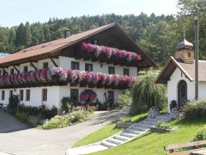 Ferienwohnung Panoramablick - Geiersthal - image1