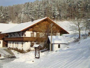 Ferienwohnung Panoramablick - Geiersthal - image1