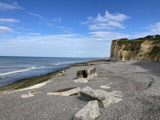 Appartamento Pourville-sur-Mer Ambiente 29