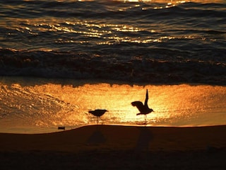 Parco vacanze Saint-Jean-de-Luz Ambiente 27