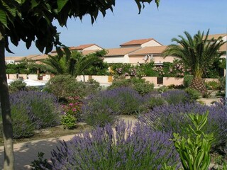 Vakantiepark Le Barcarès Omgeving 31