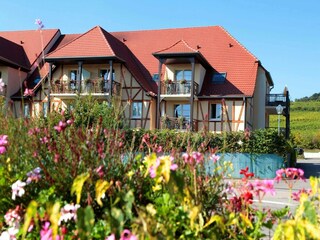 Parc de vacances Bergheim (Elsass) Enregistrement extérieur 7