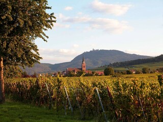 Ferienpark Bergheim (Elsass) Umgebung 17