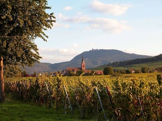 Ferienpark Bergheim (Elsass) Umgebung 20