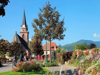 Parque de vacaciones Bergheim (Elsass) Entorno 32