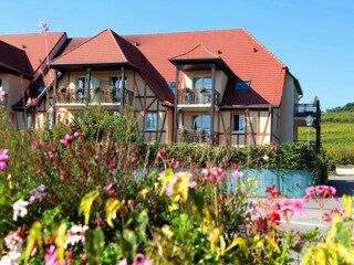 Ferienpark Bergheim (Elsass) Außenaufnahme 7