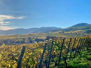 Parco vacanze Bergheim (Elsass) Ambiente 18