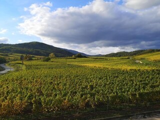 Parc de vacances Bergheim (Elsass) Environnement 19