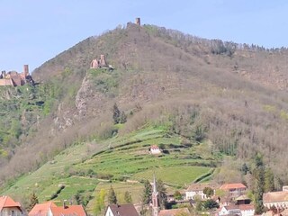 Parc de vacances Bergheim (Elsass) Environnement 33