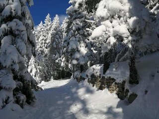 Parc de vacances Bergheim (Elsass) Environnement 35
