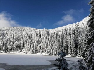 Parc de vacances Bergheim (Elsass) Environnement 36