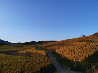 Ferienpark Bergheim (Elsass) Umgebung 22
