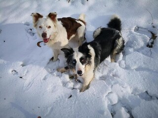 Parco vacanze Bergheim (Elsass)  38