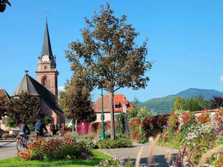 Parque de vacaciones Bergheim (Elsass) Entorno 13