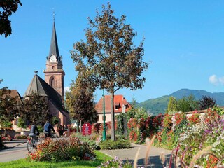 Parque de vacaciones Bergheim (Elsass) Entorno 14