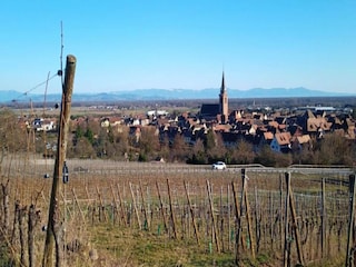 Holiday park Bergheim (Elsass) Environment 26